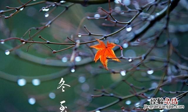 你知道冬至吃饺子是为了纪念谁吗