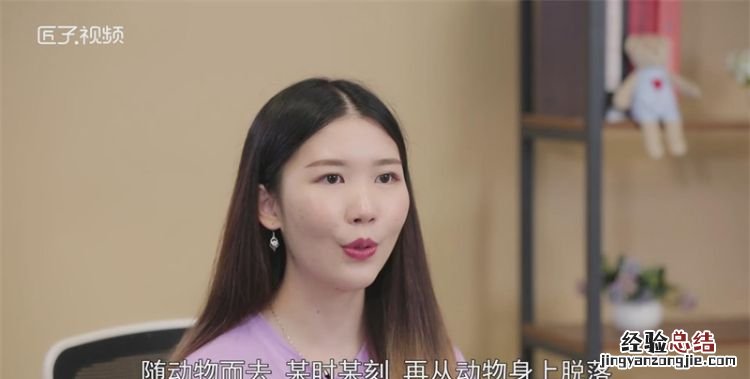 植物传播种子的方法有哪些,植物传播种子的办法有哪些一年级