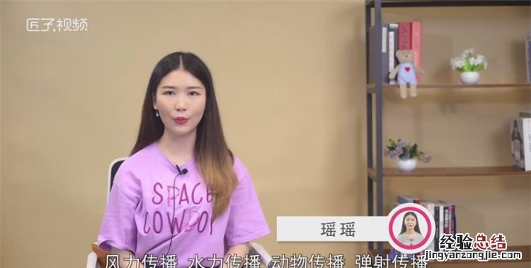 植物传播种子的方法有哪些,植物传播种子的办法有哪些一年级