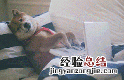 惠普暗影精灵3普通版怎么样 惠普暗影精灵3如何