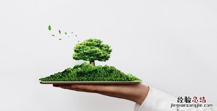 世界环境日是几月几日