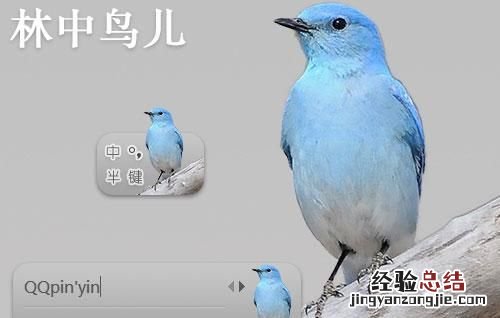 哪种输入法快还好用,手机什么输入法打字快