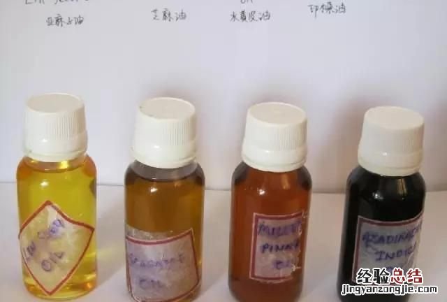 室内用什么药最好用