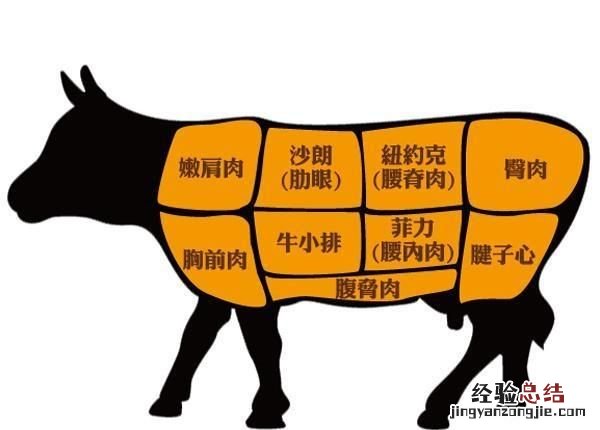 肥牛是什么肉做的,一般用什么肉充当牛肉
