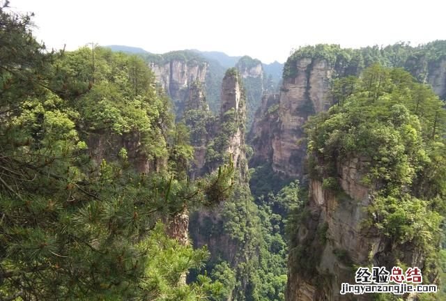 湖南张家界是什么样一个地方 湖南张家界是什么样
