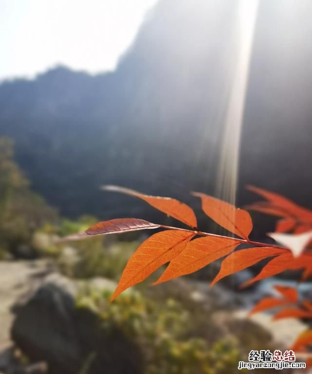 怎样的爸爸才是个好爸爸 什么样的爸爸才是好爸爸