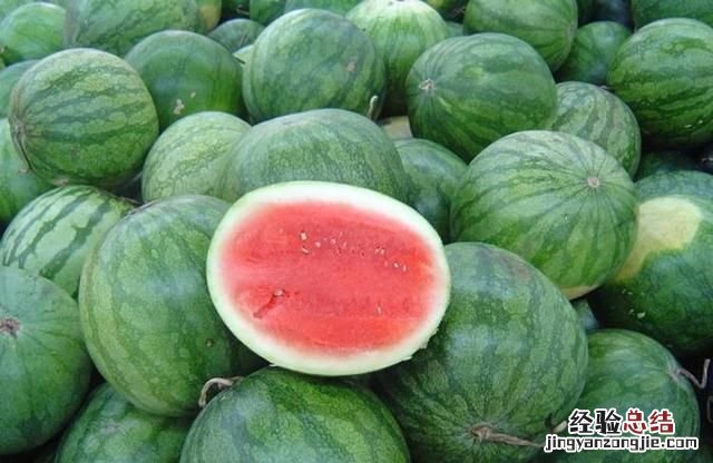 西瓜的种类，西瓜的品种有哪些