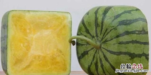 西瓜的种类，西瓜的品种有哪些