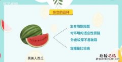 西瓜的种类，西瓜的品种有哪些