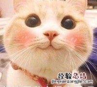 家用监控摄像头什么牌子好 家用摄像头选什么牌子的好