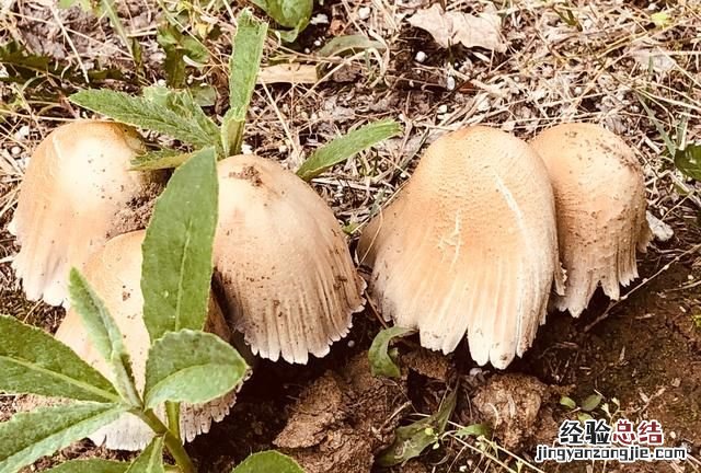 怎么才能提高自己的沟通技巧