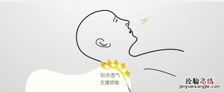 乳胶枕头怎么样,怎样能买到真的乳胶枕头
