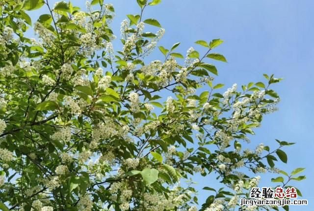 国内近十年来旅游消费者行为研究 科学的旅游消费者行为是什么