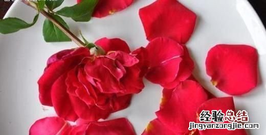 玫瑰花茶怎么泡