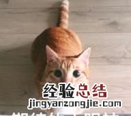 在搭配衣服的时候,应该如何进行颜色搭配呢