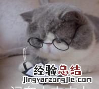 在搭配衣服的时候,应该如何进行颜色搭配呢