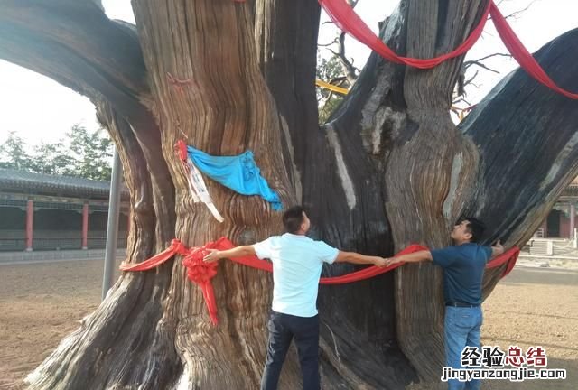 北京最值得去的50个旅游景点 有没有特别值得推荐的旅游景点