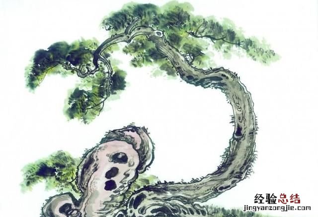 为什么树干都是圆的,树干为什么是圆的