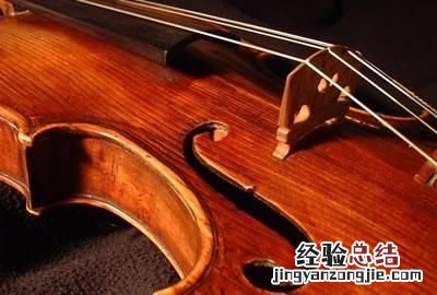 对于初学者来说怎么选把好大提琴