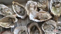 带壳生蚝蒸多久才熟