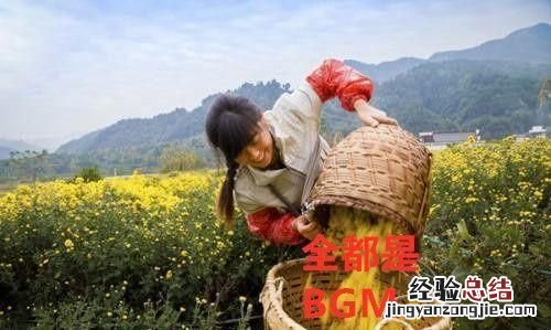 发怎么配音乐呢,发怎么配音乐