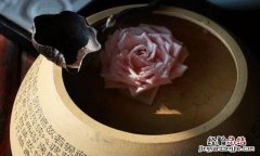 怎样修改小说题目