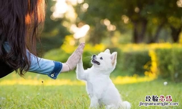 自我认知在情感中怎么去理解