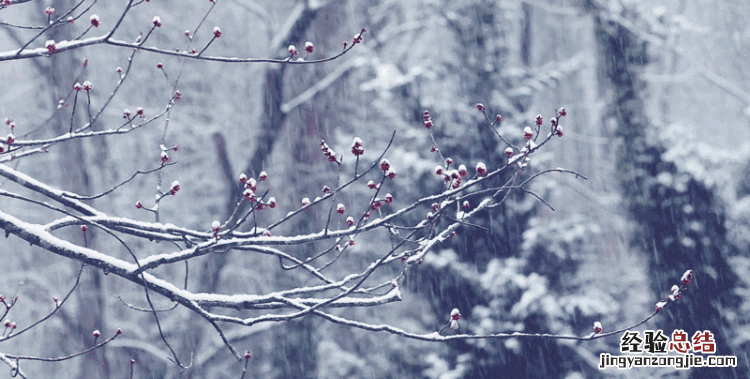雪是怎么形成的画 雪是怎么形成的