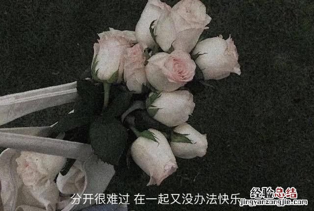 网易云热评里你最喜欢哪一条评论