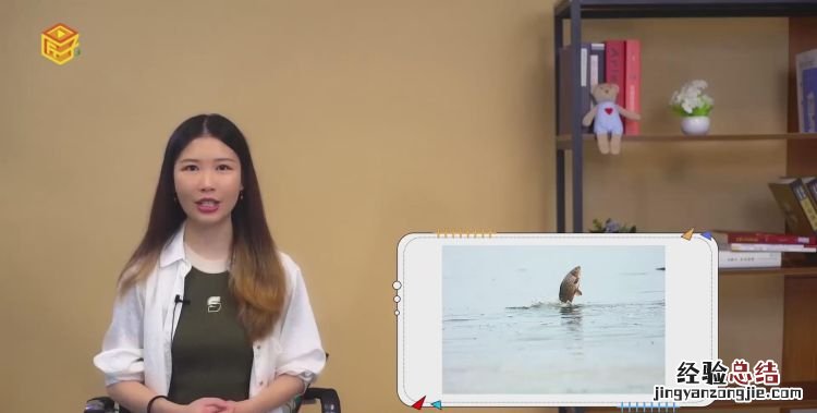 青海湖在哪个省哪个市,青海湖与太湖哪个面积大