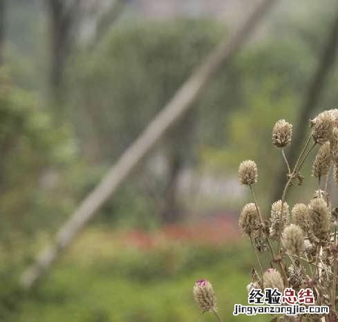 在后期调整中色阶是控制图片的什么呢