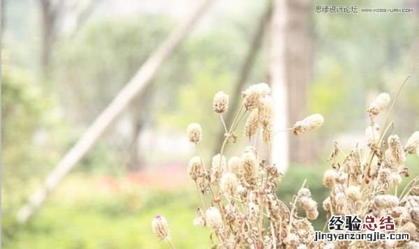 在后期调整中色阶是控制图片的什么呢