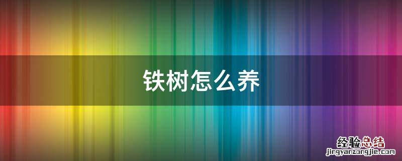 铁树怎么养，种了十多年的铁树怎么养