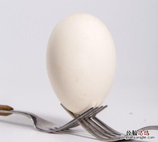 鹅蛋直接煮好吃吗 煮鹅蛋好吃吗