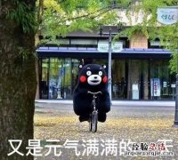 是什么让你能在大城市生存下来呢