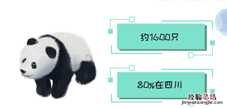 大熊猫出生是什么地,大熊猫生活在什么地方