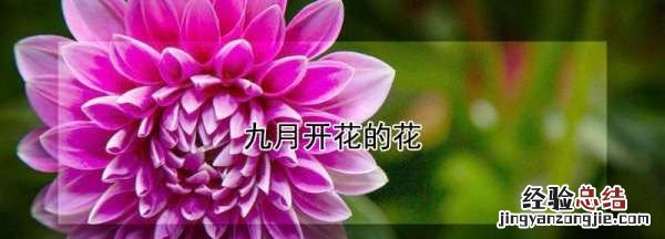 七月开什么花,一年四季各有什么花开