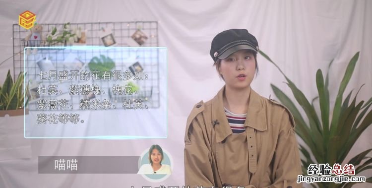 七月开什么花,一年四季各有什么花开