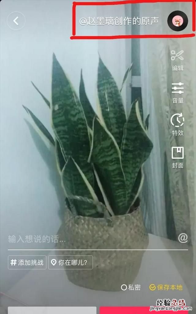 抖音怎么添加音乐波纹线 抖音怎么添加音乐
