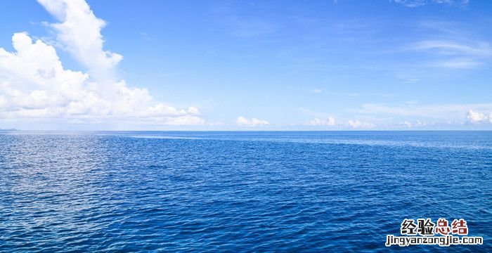 世界上最大的海是什么海