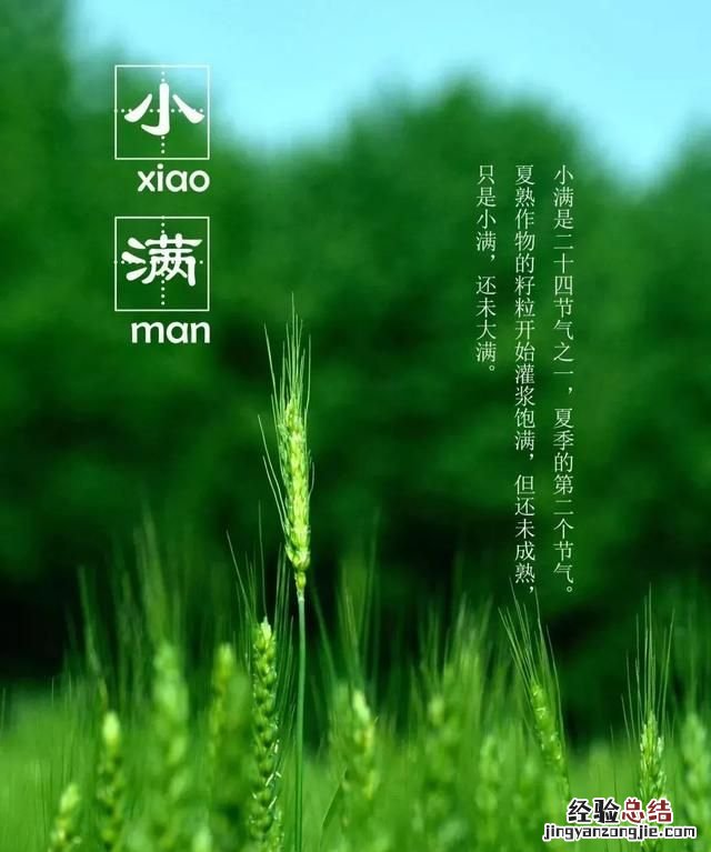 小满是个什么样的节气