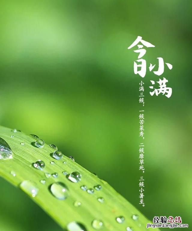小满是个什么样的节气