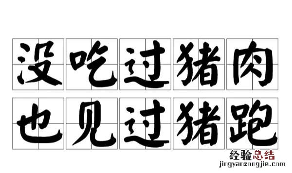 零基础如何快速入门cad 如何把cad从入门学到熟练