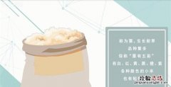 五谷是什么，五谷指的是什么