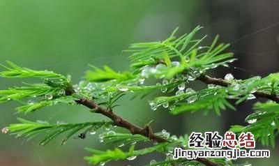 如何让自己对电脑感兴趣,怎么样才能对电脑感兴趣