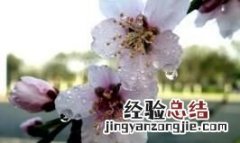 如何让自己对电脑感兴趣,怎么样才能对电脑感兴趣