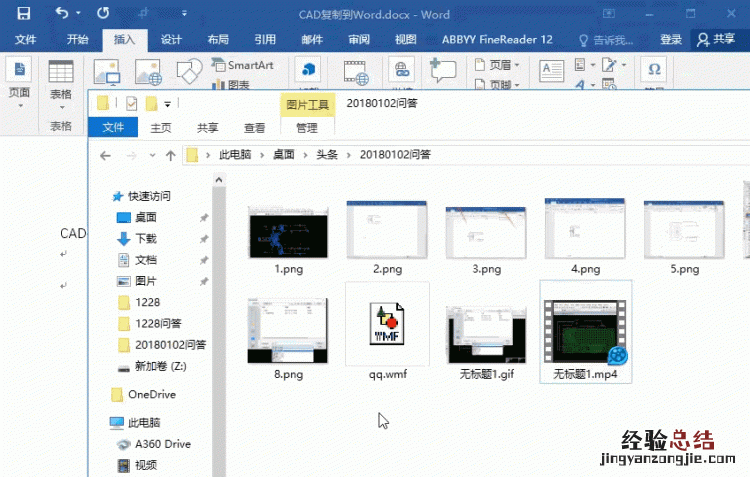 怎样才能把cad上的图形复制到word文档中去