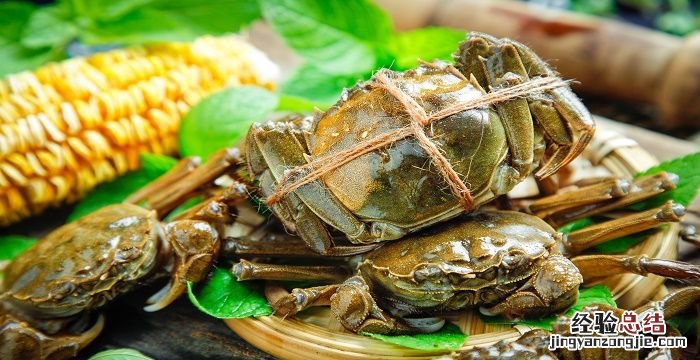 蟹子蒸多长时间最好，螃蟹蒸多长时间最好