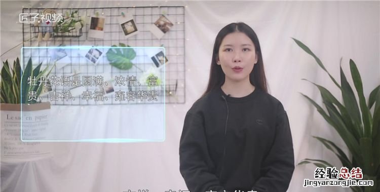 牡丹花语,白色牡丹鸟花语