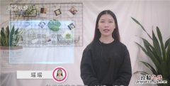 牡丹花语，白色牡丹鸟花语